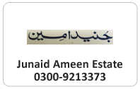 Junaid Ameen Estate