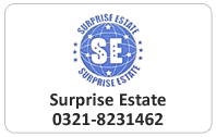 Surprise Estate